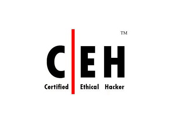 Certified Ethical Hacker  v8.0